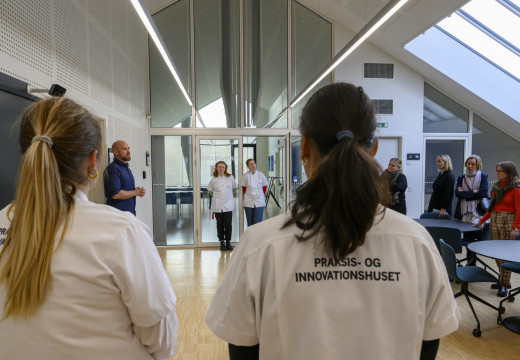 Rundvisningen fortsætter