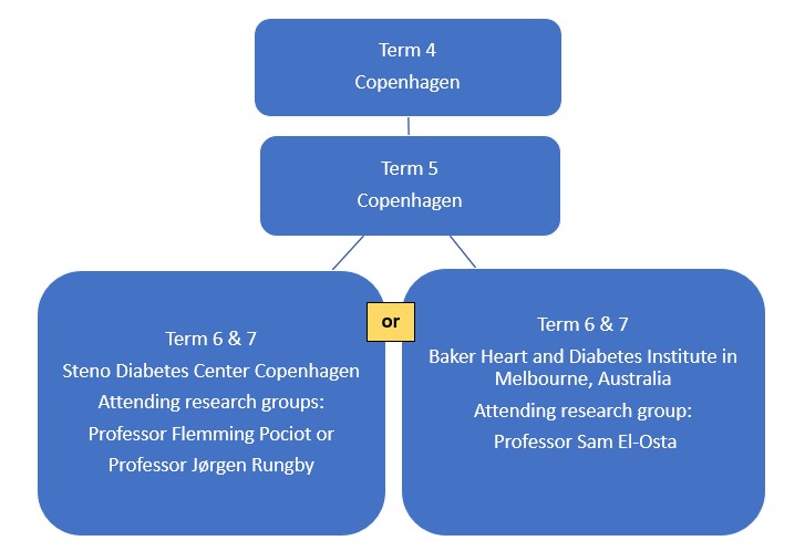 CHC - terms - biomedical science