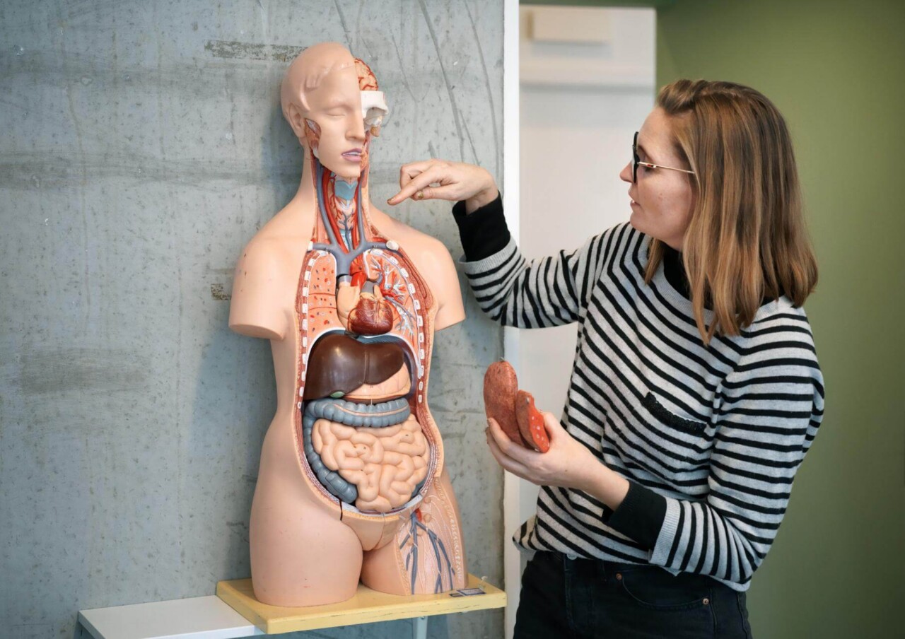 Lue Lunge respiration og underviser Rigshospitalet og KP - karriereprofil 2 sider - 2